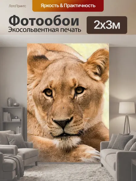 LotsPrints Фотообои "Лев, львица, хищник" 2x3м
