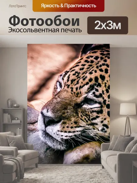 LotsPrints Фотообои "Ягуар, пантера, одиночество" 2x3м