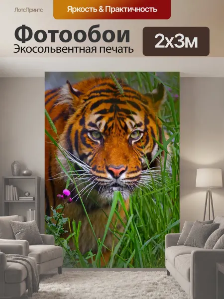 LotsPrints Фотообои "Тигр, сибирский, хищник" 2x3м