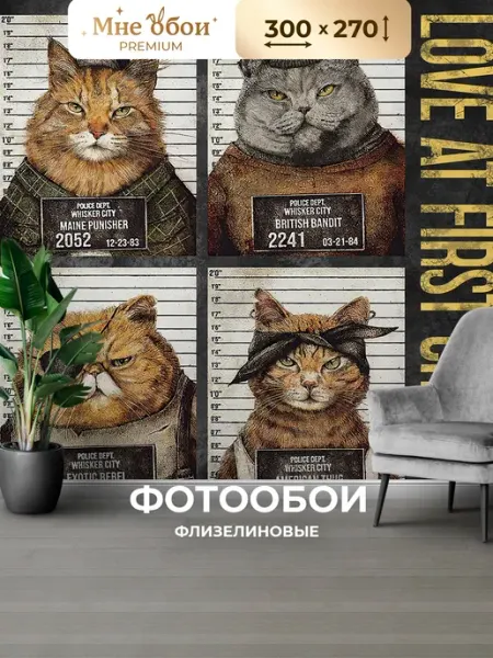 МнеОбои Фотообои в спальню в зал 3d 300х283 Коты