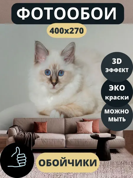Обойчики Фотообои Животные Котенок в прихожую спальню кухню 400х270