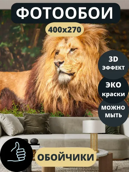 Обойчики Фотообои Животные Лев в прихожую спальню кухню 400х270