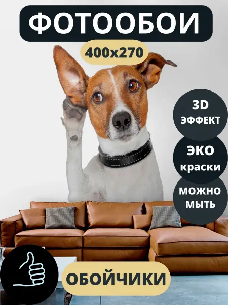 Обойчики Фотообои Животные Собака в прихожую спальню кухню 400х270