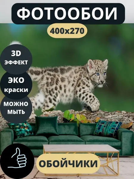 Обойчики Фотообои Животные Тигренок в спальню детскую 400х270