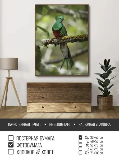 ПолиЦентр Постер на фотобумаге Тропическая птица на ветке, 30х40 см