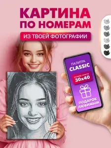 Картина по номерам по фото Photosnake Classic 30х40 A3