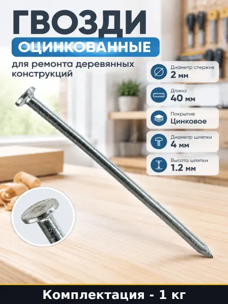 Гвозди оцинкованные для ремонта деревянных конструкций 1 кг