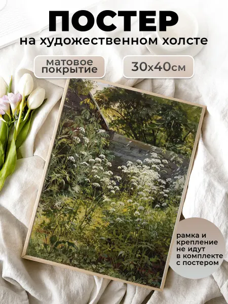 Le Poster Постер репродукция Шишкин Уголок заросшего сада 30х40 см