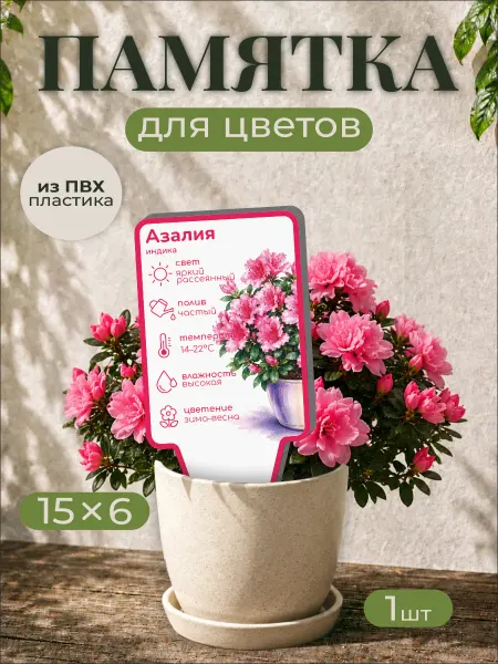 0_ok.rilART Памятка по уходу Азалия индика