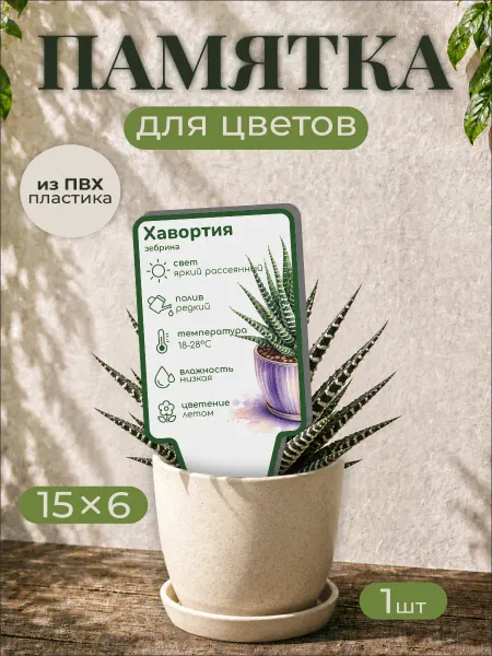 0_ok.rilART Памятка по уходу Хавортия зембрина