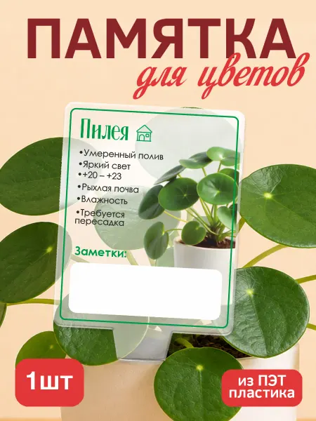 KRASNIKOVA Памятка по уходу за цветами Пилея