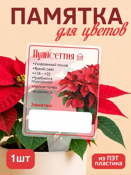 KRASNIKOVA Памятка по уходу за цветами Пуансеттия