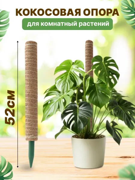 Миндаль и Мята Кокосовая опора для цветов комнатных и растений