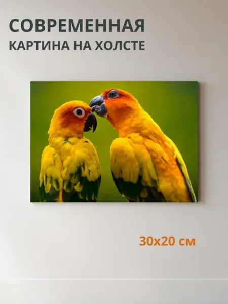DZiVA Картина на холсте Попугаи 30x20 см