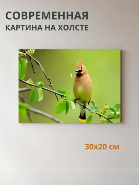 DZiVA Картина на холсте Птица 30x20 см