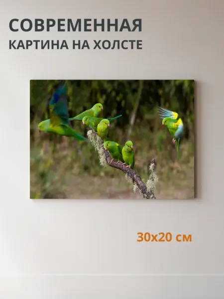 DZiVA Картина на холсте Птицы на ветке 30x20 см