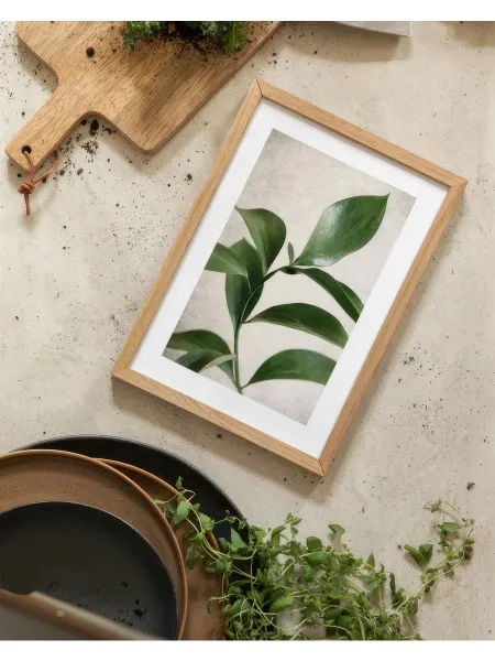 Onllyart Постер 30x40 зеленый ботанический