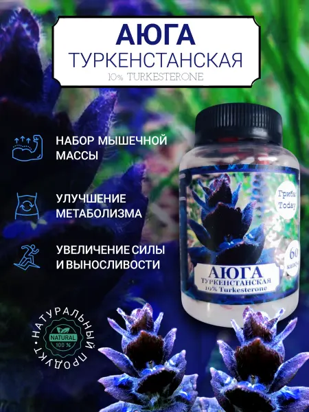 ГрибыToday Аюга Туркестанская 10% 60 капсул 500 мг