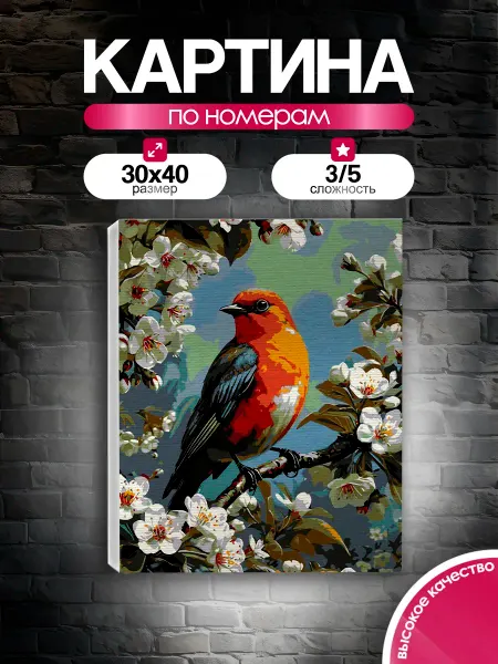 PictureBoom Картина по номерам 30x40 Яркая птица