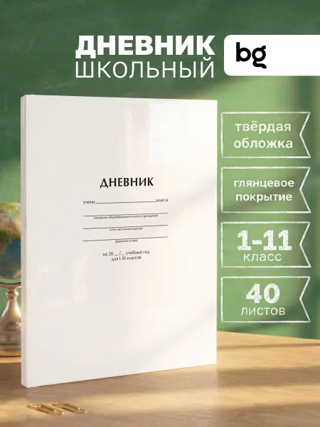 BG Дневник школьный плотный 1 - 11 класс