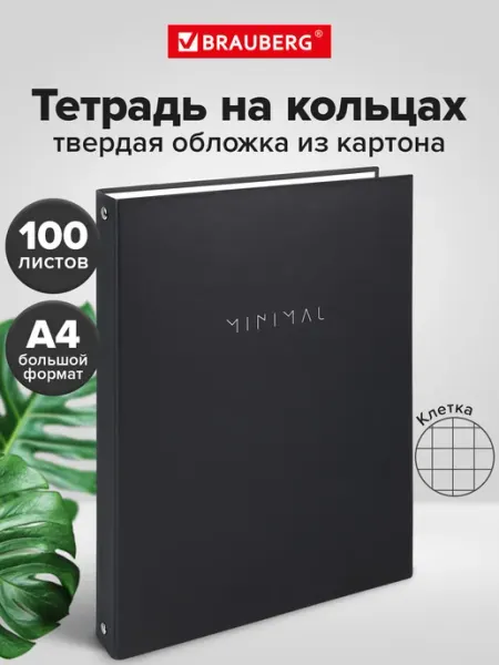 Brauberg Тетрадь на кольцах А4 в клетку со сменным блоком, 100 листов