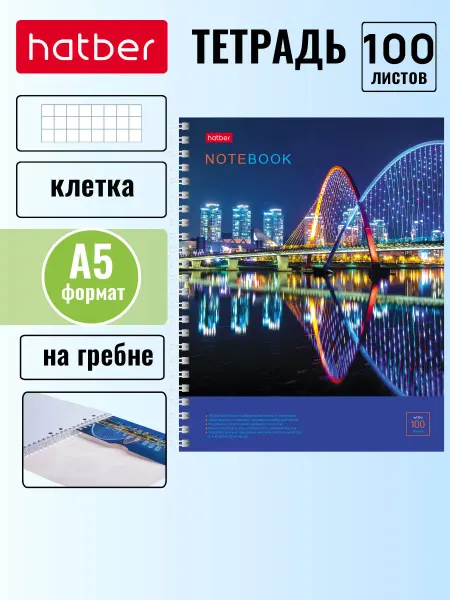 Hatber Тетрадь 100 листов клетка обложка с карманом