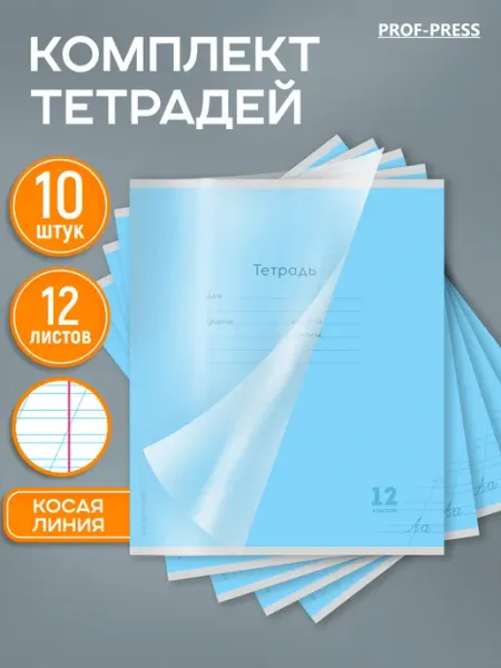 Prof-Press Тетрадь в косую линейку 12 листов с пластиковой обложкой