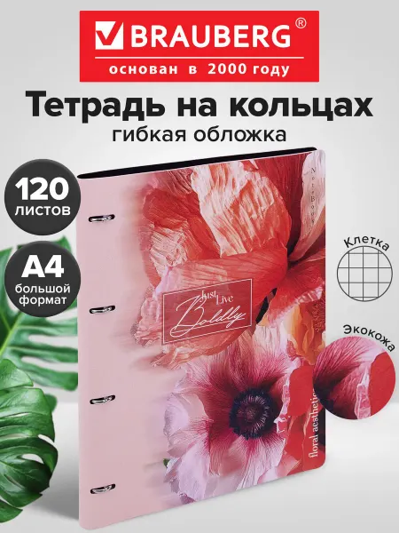Brauberg Тетрадь на кольцах А4 в клетку со сменным блоком, 120 листов