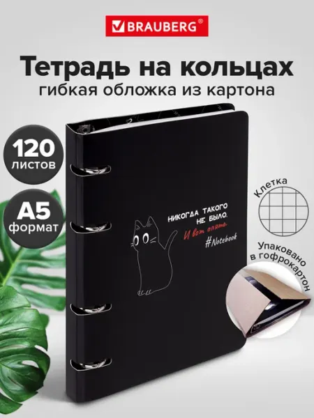 Brauberg Тетрадь на кольцах А5 в клетку со сменным блоком 120 листов