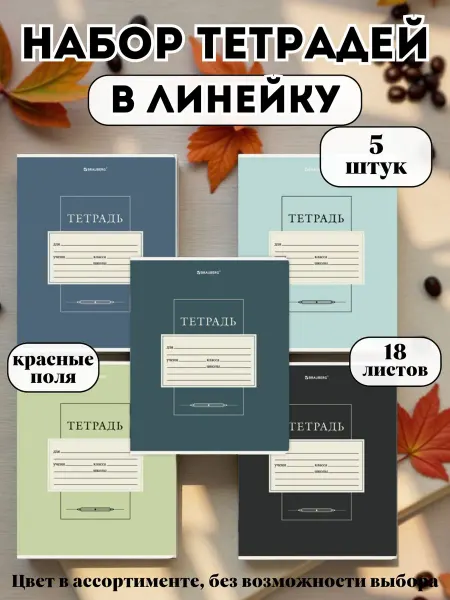 Brauberg Тетрадь школьная 18 листов в широкую линию набор 5 шт