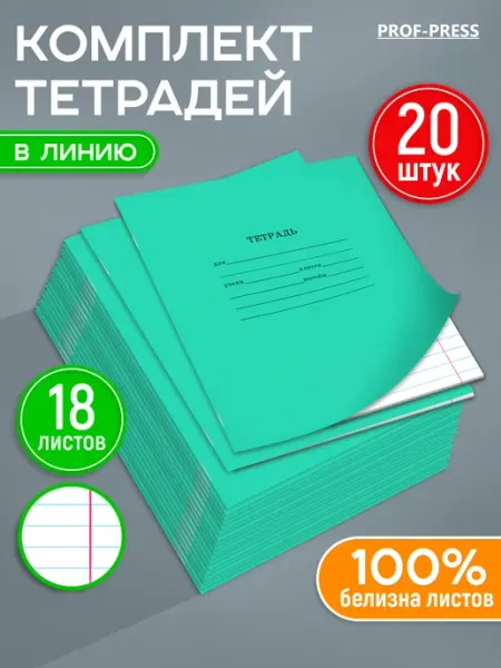 Prof-Press Тетрадь в линейку 18 листов 20 штук