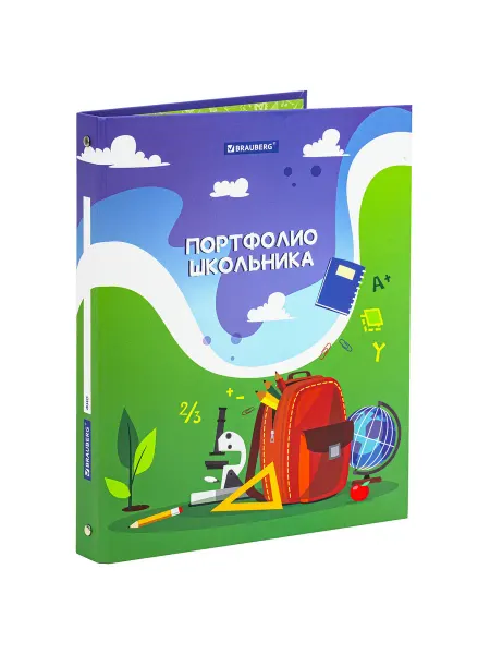 Портфолио школьника дошкольника папка А4 на кольцах
