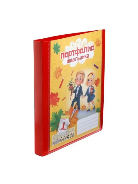 Пластиковая папка-портфолио для школьника