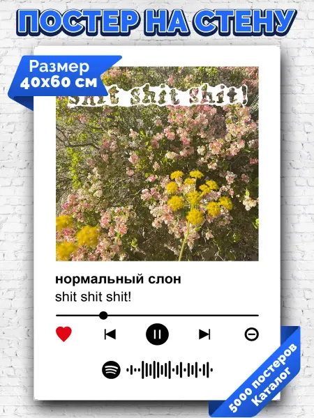 Arthata-spotify постер Спотифай постер Плакат на стену shit shit shit - нормальный слон 40х60