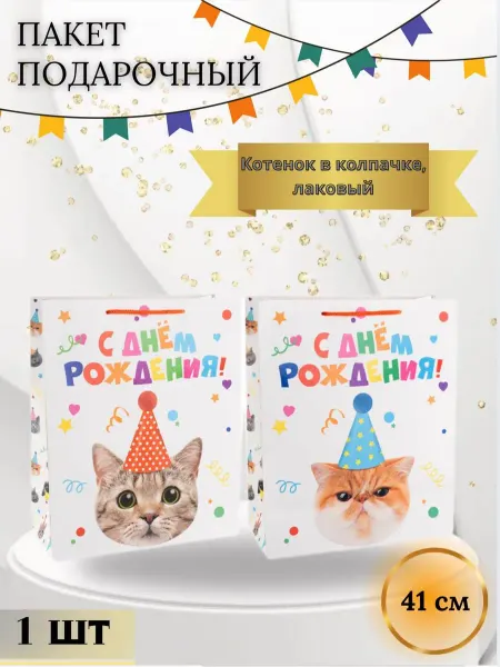 Дон Баллон Подарочный пакет Котенок в колпачке Лаковый 41*31*12 см