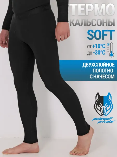 Polar Wolf Термобрюки спортивные с начесом зима Soft