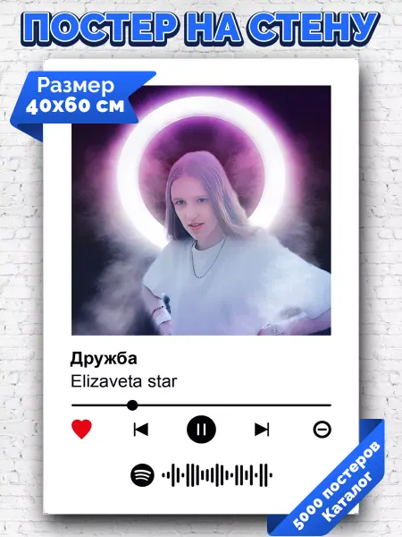 Arthata-spotify постер Спотифай постер Спотифай постер Elizaveta star - Дружба 40х60