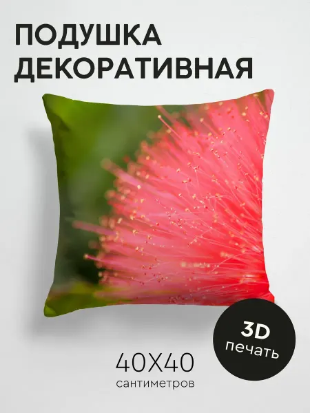 365home Подушка декоративная, 40x40см Макро цветок пыльца