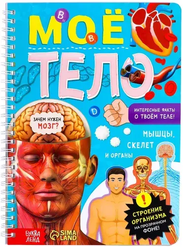 Обучающая книга "Моё тело" с прозрачными страницами для детей, изучаем строение тела, 32 страницы
