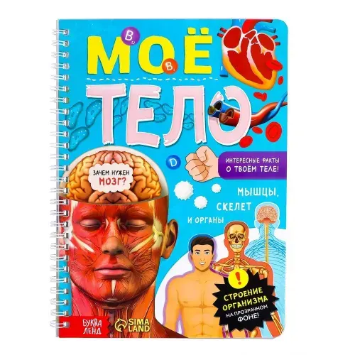 Книга с прозрачными страницами Буква-Ленд "Моё тело", 32 стр.