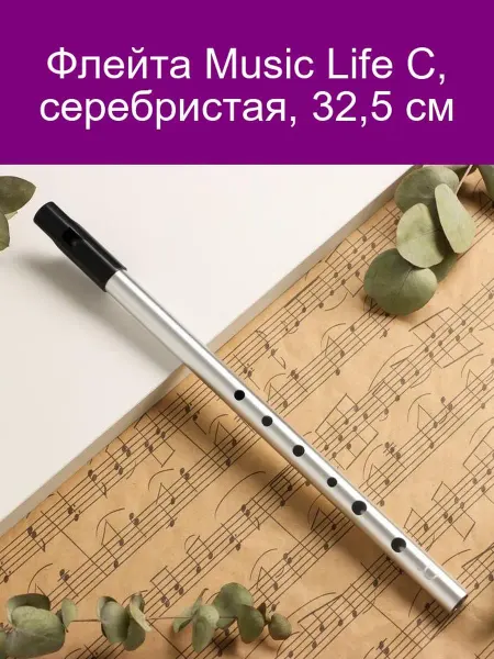 Music Life Флейта С, серебро, 32,5 см