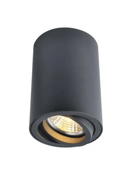 Arte Lamp Светильник потолочный SENTRY A1560PL-1BK 1x50Вт