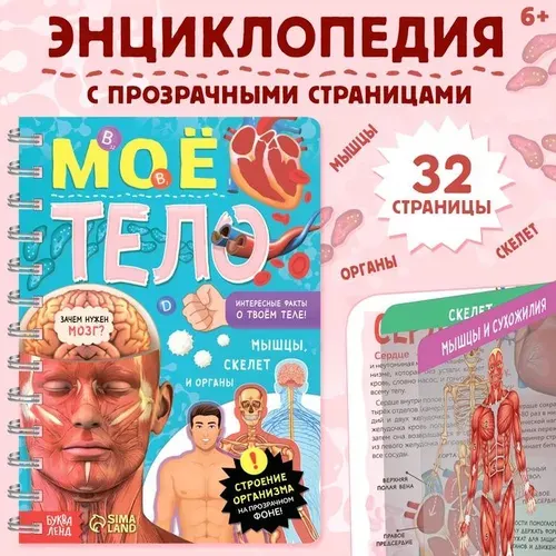 Энциклопедия с прозрачными страницами Моё тело, 32 стр. 7041125