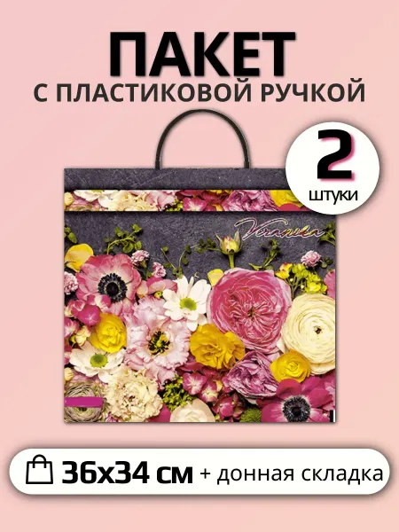 Пакет с пластиковой ручкой Вероника (набор 2 штуки)