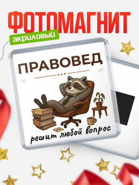 КлассныеШтучки Магнит прикольный енот Правовед подарок коллеге