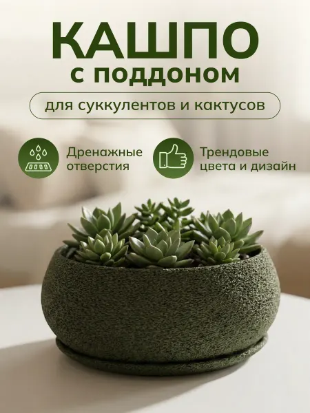 Кашпо для суккулентов