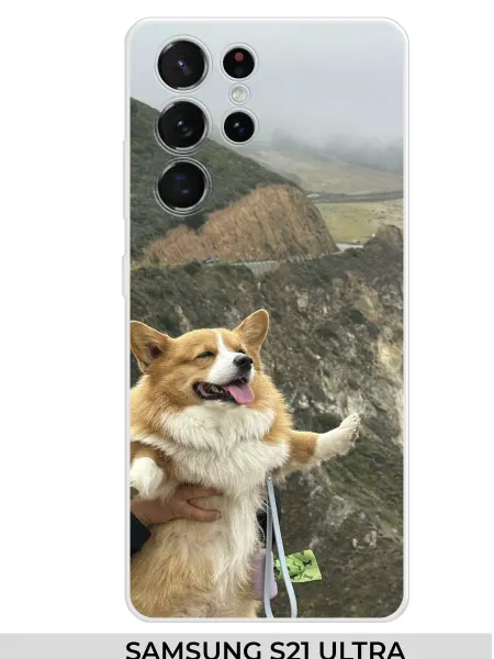 NOOTO Чехол на Samsung S21 Ultra мем