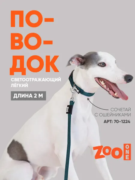 ZOOONE Поводок для собак светоотражающий длина 2 м, изумрудный