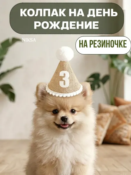 Колпак день рождения для собаки 3 года