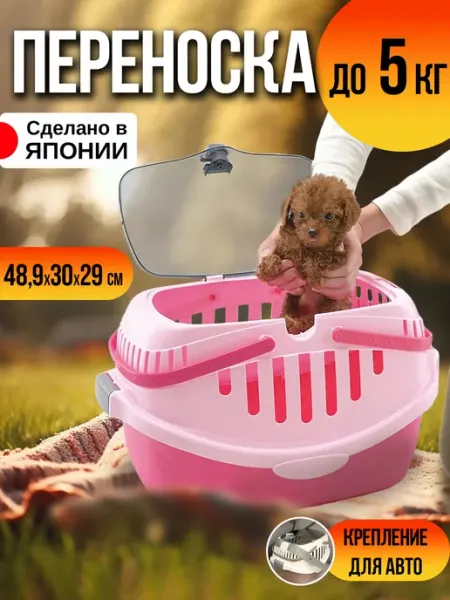 Richell Переноска для кошек и собак 48,9х30х29 см